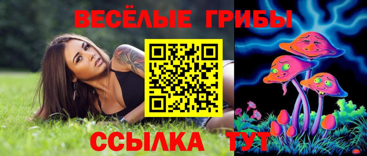 Галлюциногенные грибы мицелий  Вход с VPN  Псилоцибиновые грибы Psilocybine cubensis  Мелеуз 
